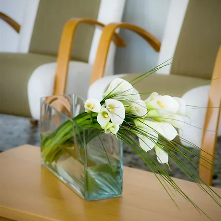 Colonna 3* Lido di Jesolo